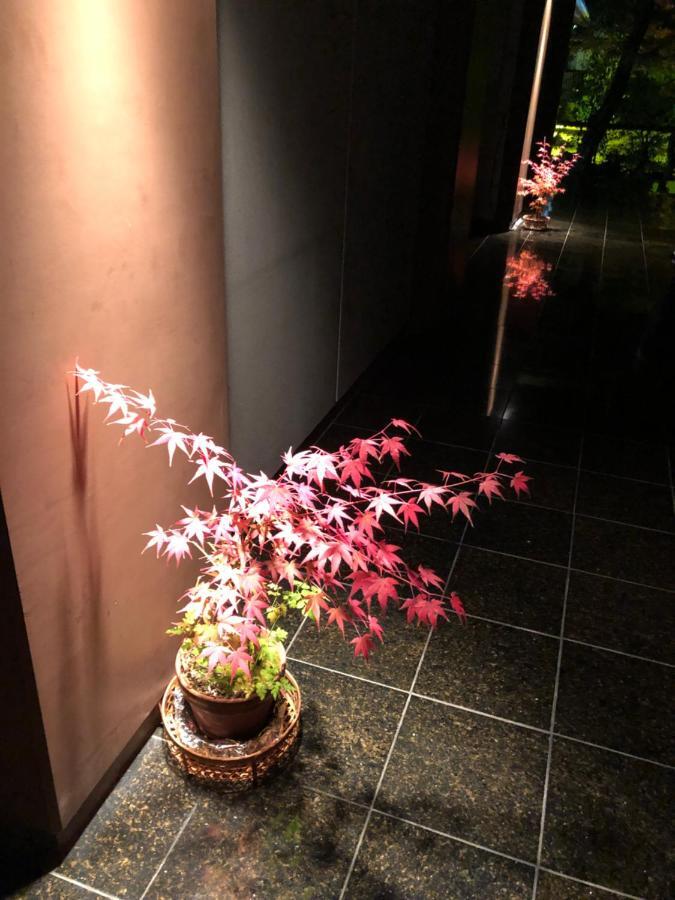 Cozyhouse 310 Free Wifi A Rented Electric Bicycle アパート *